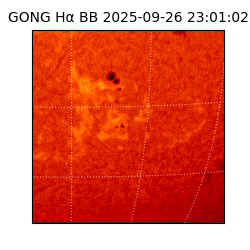 gong - 2025-09-26T23:01:02