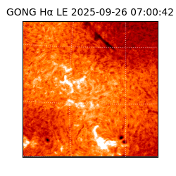 gong - 2025-09-26T07:00:42