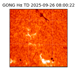 gong - 2025-09-26T08:00:22