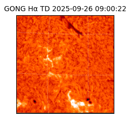 gong - 2025-09-26T09:00:22