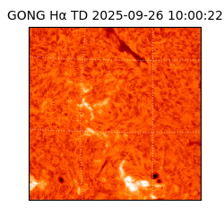 gong - 2025-09-26T10:00:22