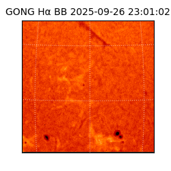 gong - 2025-09-26T23:01:02
