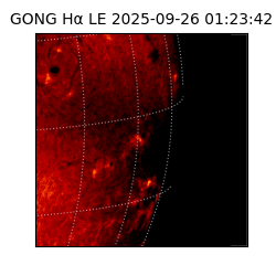 gong - 2025-09-26T01:23:42
