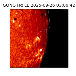 gong - 2025-09-26T03:00:42