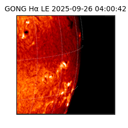 gong - 2025-09-26T04:00:42