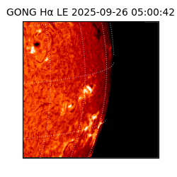 gong - 2025-09-26T05:00:42
