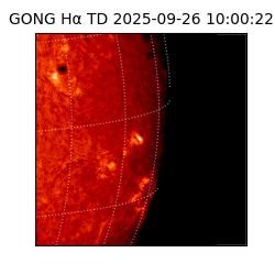 gong - 2025-09-26T10:00:22