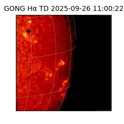 gong - 2025-09-26T11:00:22