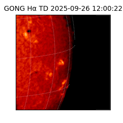 gong - 2025-09-26T12:00:22