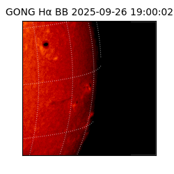 gong - 2025-09-26T19:00:02