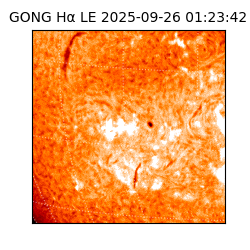 gong - 2025-09-26T01:23:42