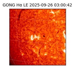 gong - 2025-09-26T03:00:42