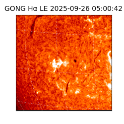 gong - 2025-09-26T05:00:42