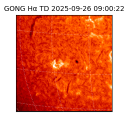 gong - 2025-09-26T09:00:22