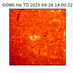 gong - 2025-09-26T14:00:22