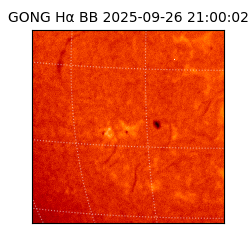 gong - 2025-09-26T21:00:02