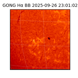 gong - 2025-09-26T23:01:02