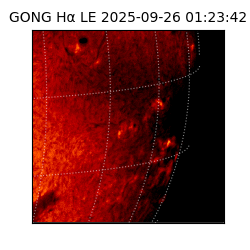 gong - 2025-09-26T01:23:42