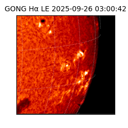 gong - 2025-09-26T03:00:42