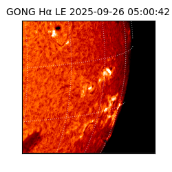 gong - 2025-09-26T05:00:42
