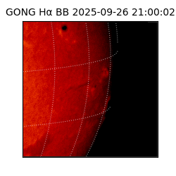 gong - 2025-09-26T21:00:02