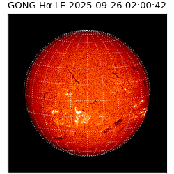 gong - 2025-09-26T02:00:42