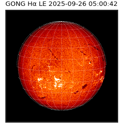 gong - 2025-09-26T05:00:42