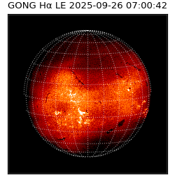gong - 2025-09-26T07:00:42