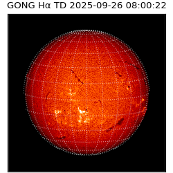 gong - 2025-09-26T08:00:22