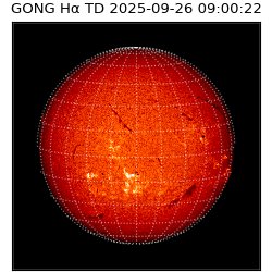 gong - 2025-09-26T09:00:22