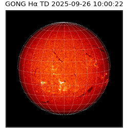 gong - 2025-09-26T10:00:22