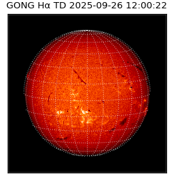 gong - 2025-09-26T12:00:22