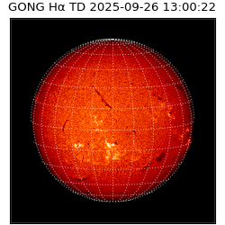 gong - 2025-09-26T13:00:22
