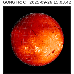 gong - 2025-09-26T15:03:42