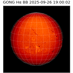 gong - 2025-09-26T19:00:02