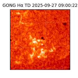 gong - 2025-09-27T09:00:22