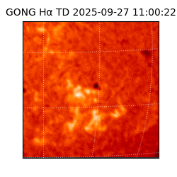 gong - 2025-09-27T11:00:22