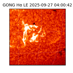 gong - 2025-09-27T04:00:42