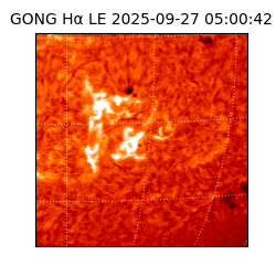 gong - 2025-09-27T05:00:42