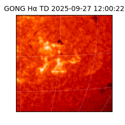 gong - 2025-09-27T12:00:22