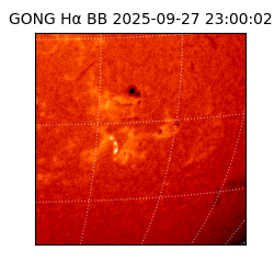 gong - 2025-09-27T23:00:02