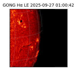 gong - 2025-09-27T01:00:42