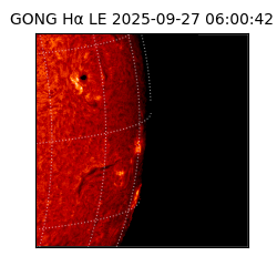 gong - 2025-09-27T06:00:42