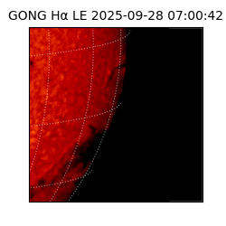 gong - 2025-09-28T07:00:42