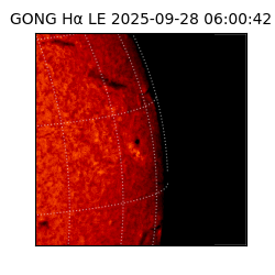 gong - 2025-09-28T06:00:42