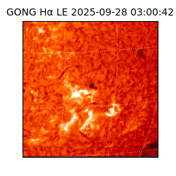 gong - 2025-09-28T03:00:42