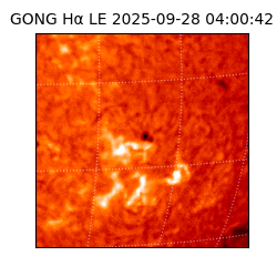 gong - 2025-09-28T04:00:42