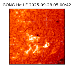 gong - 2025-09-28T05:00:42