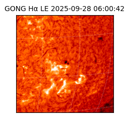 gong - 2025-09-28T06:00:42