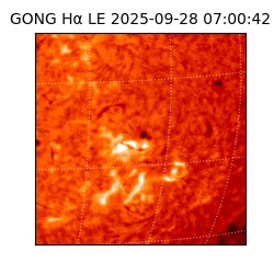 gong - 2025-09-28T07:00:42